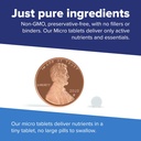 Superior Source Vitamin K2 MK-7 (Menaquinone-7) 100 mcg - Bone Strength & Health Support Supplement - Aids Healthy Heart Function - Bariatric-Friendly - 60 Sublingual Dissolving Tablets 5