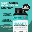 nootrix-smart-mushrooms-complex-suppleme-6.jpg