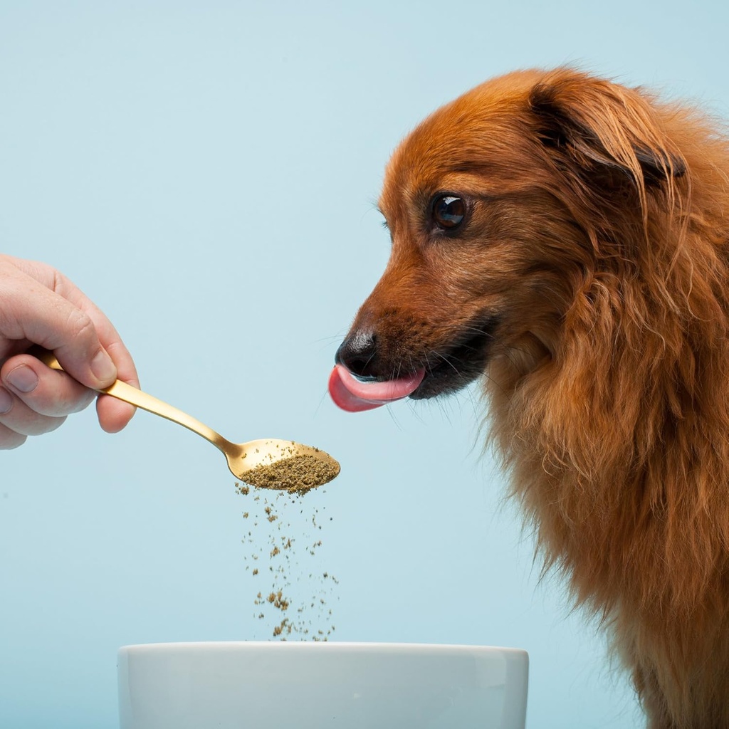 The Missing Link Pet Kelp Canine Probiotic 8oz Superfood Powdered Supplement, Organic & Limited Ingredient Formula for Digestive Health of Dogs 3