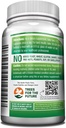 GreeNatr Pure Moringa Oleifera Leaf Extract Veggie Capsules 1000 mg. Natural Herbal Supplement. Energy, Mood, Memory and Focus Support. Premium Green Superfood (3 Bottles) 3