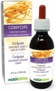 Naturalma Cordyceps (Cordyceps sinensis) Fungus or Mushroom Alcohol-Free Tincture - 4 fl oz Liquid Extract in Drops - Herbal Supplement - Vegan 2