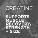 Purbolics Creapure Creatine Monohydrate, Micronized Creatine 5g, Elevate Workout Performance and Recovery, Build Strength, Enhance Pumps (50 Servings, Rainbow Candy) 4