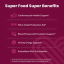 WellPath Beet Root Gummies (Sugar Free) 1500 mg – Blueberry Flavor for Blood Pressure Support and Mind Brain Supplement with Lion's Mane - Supports Focus & Memory, 60 Ct 3