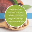 Daily Health 10 Mushroom Blend Complex 60 Capsules Cordyceps, Reishi, Shiitake, Lions Mane, Maitake, Turkey Tail, Chaga, Agaricus, White Button, Black Fungus, Vegan Friendly (1 Month Supply) 5