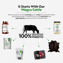 First Light Farms Freeze-Dried Wagyu Beef Organ Supplement Grass-Fed | 180 Capsules | Whole Food Nutrition with Liver, Heart, Kidney & Spleen | Beef Organ Complex, Certified Humane 4