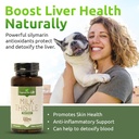 Lignans for Life Milk Thistle Seed Extract Herbal Supplement for Dogs, 100mg - 60 Vegetarian Capsules, Canine Liver Health 6