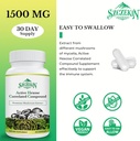 Active Hexose Correlated Compound 1500 mg Supplement, Natural 8 Mushroom Extract Supplement, Immune System, Liver Function, Natural Killer and T Cells Activity, 720 Veggie Capsules 5