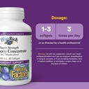 BlueRich by Natural Factors, Super Strength Blueberry Concentrate, Antioxidant Support for Overall Good Health, 90 Softgels 4