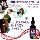 Bricker Labs MetaboBoost Duo: Fat-Burning & Energy Essentials: 7-Keto DHEA Metabolite 50mg Weight Management Support and B12 Blast Methylcobalamin 1000mcg sublingual Liquid Energy Vitamins 6