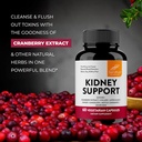 Sandhu's Kidney Cleanse Detox & Repair Support Supplement for Men and Women | with Cranberry Extract | Helps Support Kidney & Urinary Tract Health | 60 Vegetarian Capsules (Pack of 3) 5