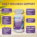 Scimera Metabolism Booster Value Pack for Weight Management 6