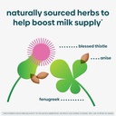 Upspring Milkflow Electrolyte Breastfeeding Supplement Drink Mix with Fenugreek 16 Count Chocolate and 16 Count Berry Flavor Bundle,Lactation Supplement to Promote Healthy Breast Milk Supply & Restore 3