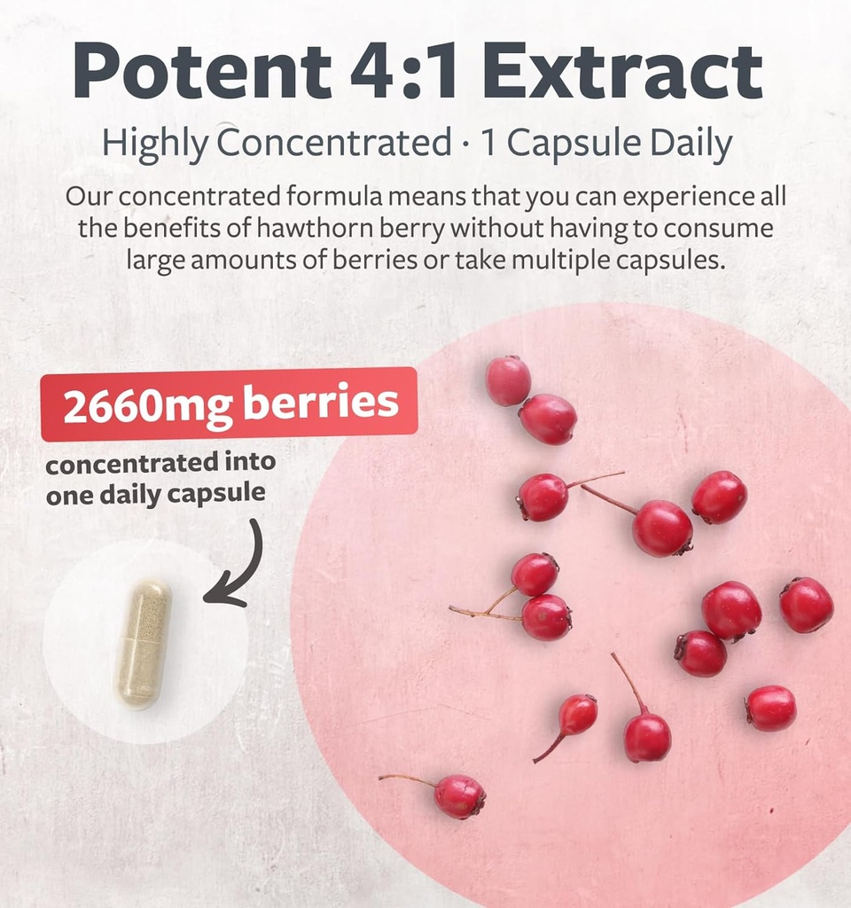 Super Potent Hawthorn Berry Extract Capsules - Hawthorn Berry Supplement Made from Extra Strength Concentrate to Support Heart and Digestive Health - Vegan Non-GMO & Gluten Free (4 Month Supply) 4