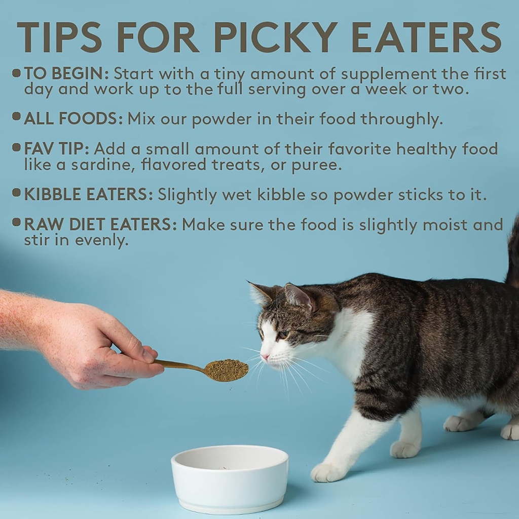 The Missing Link Pet Kelp Feline Well-Being 6oz Superfood Powdered Supplement, Organic & Limited Ingredient Formula for Digestive & Overall Health of Cats 6