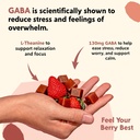 PYM Berry Mood Chews Support for Stress, Worry & Overwhelm, 120 Count | 130mg GABA, 90mg L-Theanine | Vegan, Non-GMO, Gluten-Free, No Added Sugar | All-Natural Mood Balance Supplement Made in USA 6