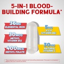 Iron Supplement for Women & Men, with Vitamins C, B6, B12 & Folate for Iron Deficiency, Blood Building & Energy Support, Stomach Friendly, Better Absorption, Non-GMO, No Gluten, 30 Vegan Caps 3