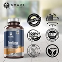 Smart Nutra Labs Organic Sea Moss 3200MG Per Serving- 180 Vegan Capsules- Irish Sea Moss, Bladderwrack and Burdock Root- Premium Quality Supplement for Immune Support and Overall Health 6
