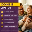 WellnessOne Iodine Drops for Thyroid Support - Fast Acting Liquid Iodine Supplement from Potassium Iodide - Great for Immunity & Cognition & Maximizes Iron Absorption - 1.67 fl oz 4