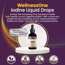 WellnessOne Iodine Drops for Thyroid Support - Fast Acting Liquid Iodine Supplement from Potassium Iodide - Great for Immunity & Cognition & Maximizes Iron Absorption - 1.67 fl oz 5