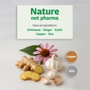 Immune Defense Supplement - Plant-Based Formula with Zinc, Copper, Ginger, Echinacea & Garlic, Daily Wellness and Immune System Support for Adults, 50 Capsules 5