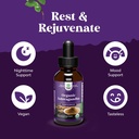 USDA Organic Ashwagandha Liquid Drops - Ashwagandha Root Extract for Stress and Mood Support - Delicious Pure Adaptogen Drops for Adults - Alcohol-Free Herbal Tinctures for Rest - 30 ml Bottle 5