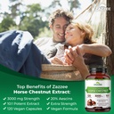 zazzee-extra-strength-horse-chestnut-101-3.jpg