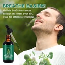 Mullein Drops for Lungs, Mullein Leaf Extract with Chlorophyll,Mullein Leaf Extract for Lung Cleanse and Respiratory Support 3