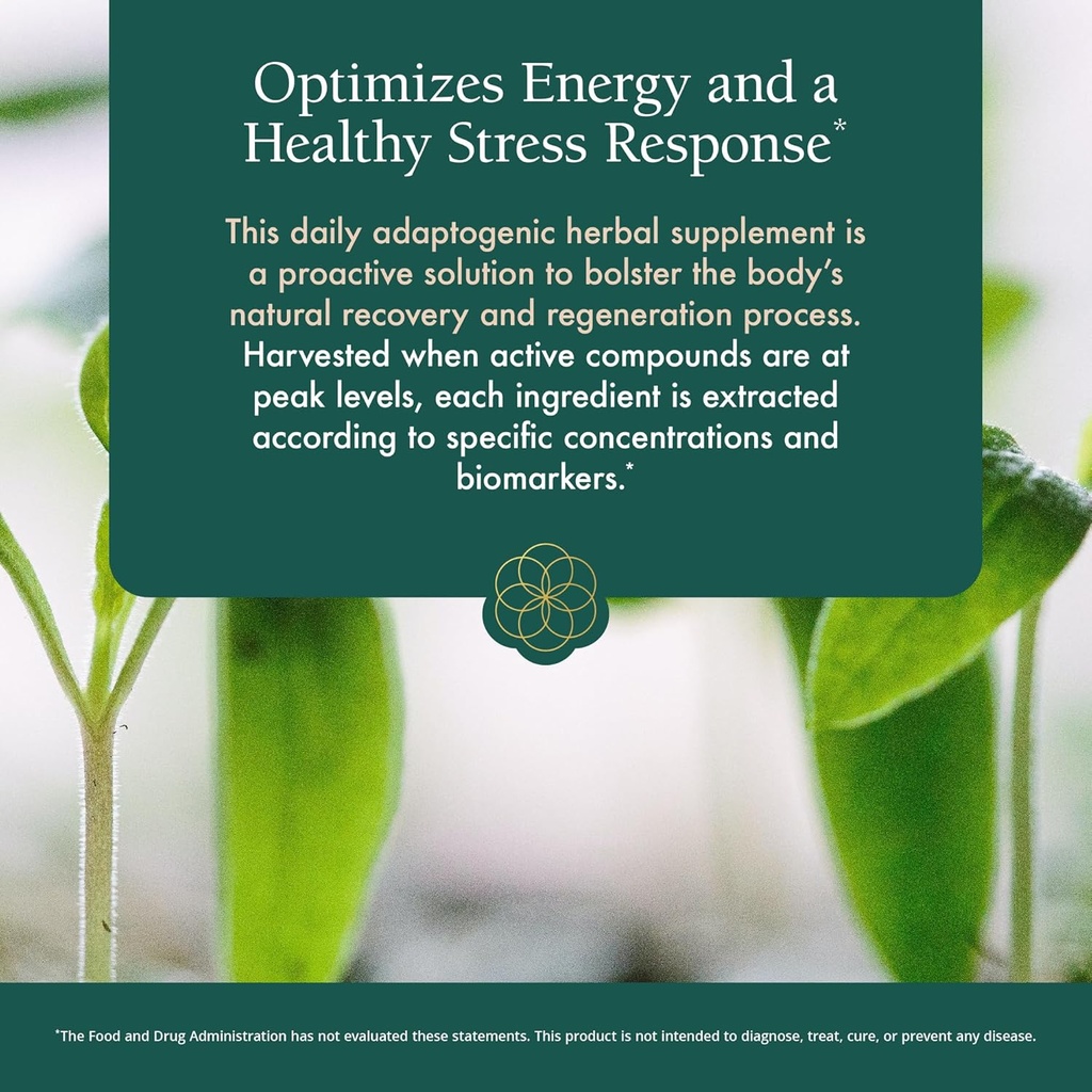 Natura Health Products Power Adapt Supplement - Deep Adrenal and Endocrine Support - Featuring Ashwagandha, Ginseng, Rhodiola Rosea Root Ext. and Cordyceps (60 Capsules) 6
