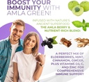 Amla Powder & Immunity Blend Superfood Supplement with Elderberry, 20x Ultra Concentrated Amla, Immune Support, Made with Ginger, Cinnamon, Peppermint, Indian Gooseberries, Immunity, 90 Servings 5
