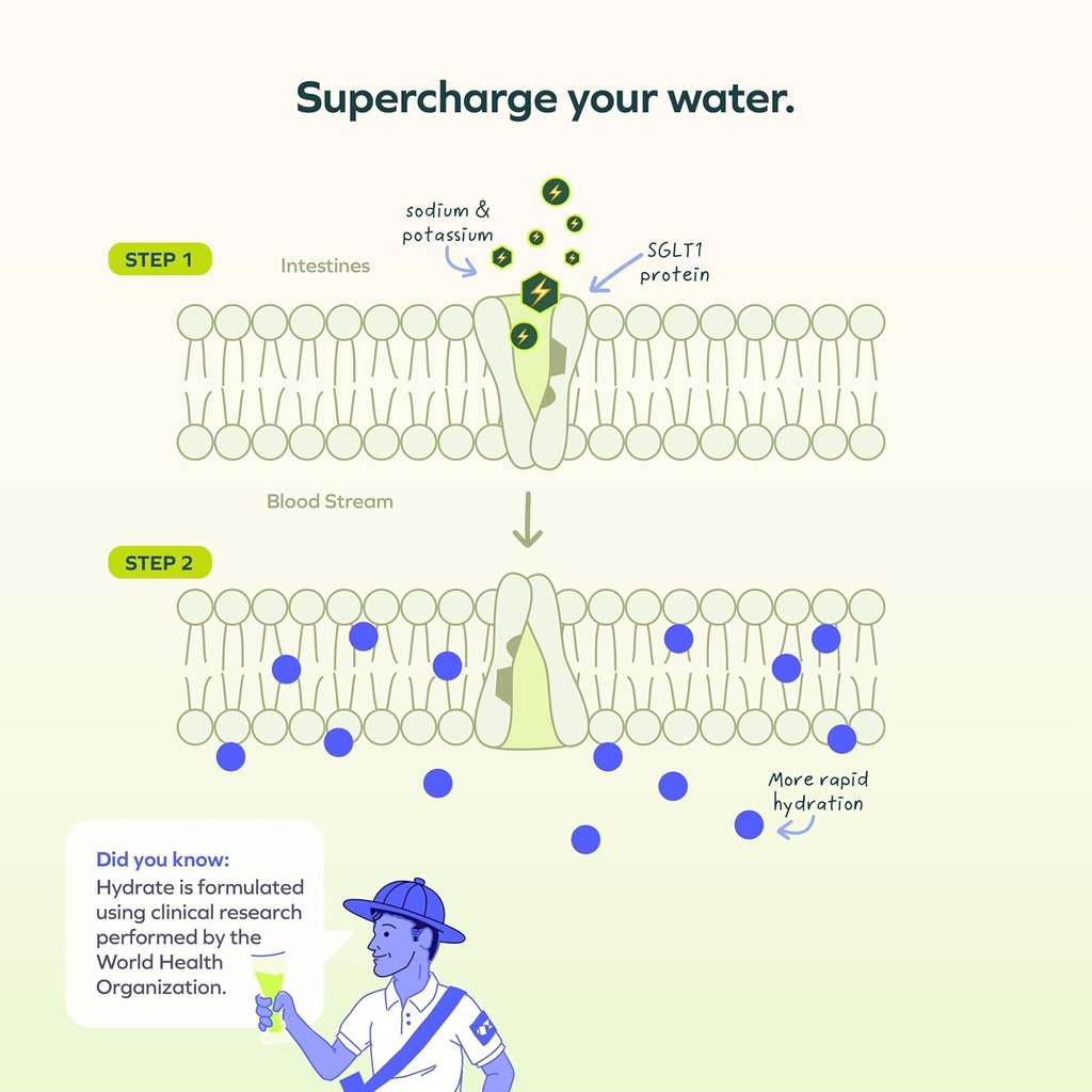 Cheers Hydrate | Oral Rehydration Solution | Electrolytes for Rapid Hydration | Lemon Lime Flavor | 12 Servings | Electrolyte Supplement with Sodium, Potassium, Glucose 4
