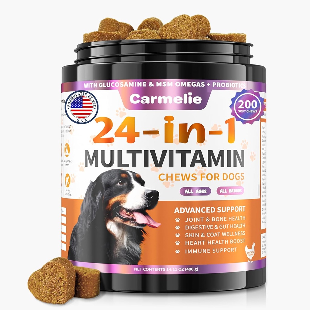 Dog Vitamins, 24 in 1 Dog Vitamins and Supplements 200 Chews with Glucosamine Probiotics Omega-3 Dog Multivitamins Chewable for Hip & Joint, Skin & Coat, Immune Health, Digestive (Chicken) 2