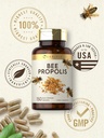 Carlyle Bee Propolis Capsules 600mg | 150 Count | Extract Supplement | Non-GMO, Gluten Free 6