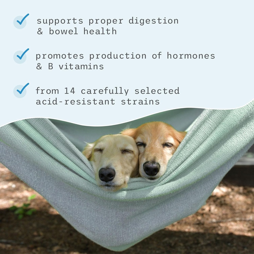 Dr. Mercola, Complete Probiotics, for Cats and Dogs, 3.17 oz (90 g), Supports Immune Function, Digestive Support, Non GMO, Soy Free, Gluten Free 6