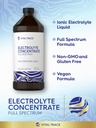 Carlyle Electrolyte Concentrate | 16 fl oz | Full Spectrum | Ionic Electrolyte Liquid | Non-GMO and Gluten Free Formula | by Vital Trace 5