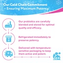 Florajen Acidophilus High Potency Refrigerated Supports Overall Health, 20 Billion CFUs for Potent Probiotic Benefits, Unflavored, 60 Count 4