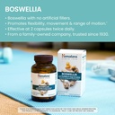 Himalaya Boswellia, Joint Support for Mobility and Flexibility, Promotes Tissue Preservation, 250 mg, 120 Capsules 4