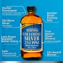 Natural Path Silver Wings Colloidal Silver Liquid - Enhanced Immune Support Supplement - 250ppm (1250mcg) - 2oz Dropper 6