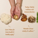 Urban Moonshine Mothership Mushroom - Herbal Supplement for Immune Support - with Lion’s Mane, Maitake, Turkey Tail & Reishi - Certified Organic, Gluten-Free & Vegan - 60 Capsules 4