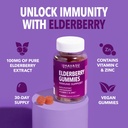 Sambucus Elderberry Gummies for Adults - Immune Support Supplement with Vitamin C and Zinc - Enhanced Formula for Daily Defense - 120 Count, 2 Month Supply, Berry Flavor - Convenient Wellness 4