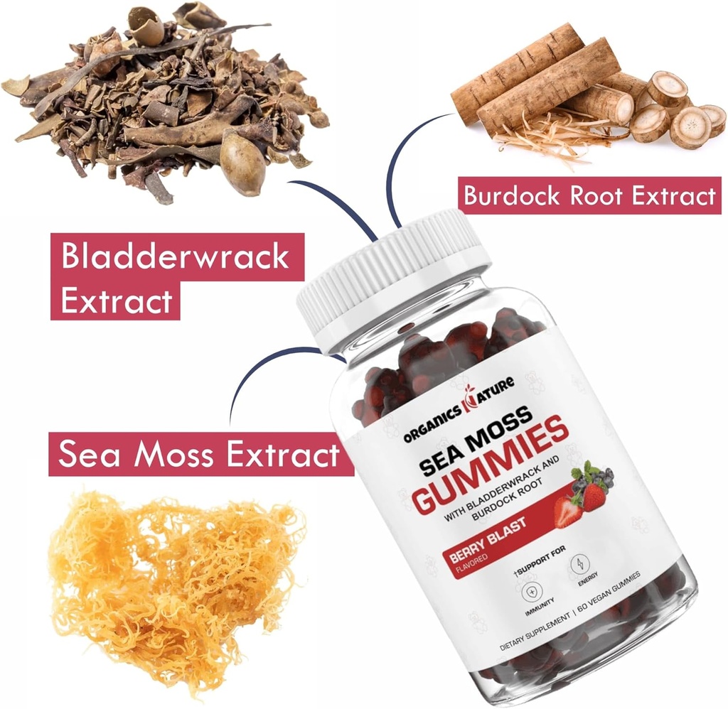 ORGANICS NATURE Irish Sea Moss Gummies for Lung Detox, Thyroid, Strength Immune & Energy Support, Vegan Seamoss Gummies for Kids & Adults - 60 Vegan Gummy Bears Berry Flavored 4