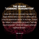 Kaged Nootropic Mindset Elite, Focus and Productivity Supplement, Organic Caffeine, Supports Working Memory, Focus, Energy, and Mood*, Strawberry Lemonade - 30 Servings 4