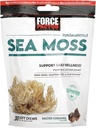 Force Factor Sea Moss Chews a Daily Wellness & Antioxidant Support a Salted Caramel (30 Soft Chews) 2