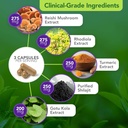 Vital Plan Daily Herbal Supplement by Dr. Bill Rawls – Herbal Immunity Booster for Immune Support, Microbiome Balance & Cell Health — Reishi Mushroom, Turmeric & Rhodiola 5