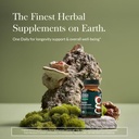 Gaia Herbs Reishi Mushroom - Helps Maintain a Healthy Immune System & Supports Heart Health - Adaptogen Herbal Supplement for Longevity Support - 40 Vegan Liquid Phyto-Capsules (40-Day Supply) 3