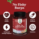 Omega 3 Fish Oil Supplement - EPA DHA Fish Oil Omega 3 Supplement with Immune Booster Brain Vitamins - Burpless 2000 mg per Serving for Mood Boost Liver Support and PMS Relief Support 5