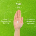 DEAL SUPPLEMENT L Methylfolate 15mg Per Serving, 240 Veggie Capsules – Active Folic Acid Form (5-MTHF), Bioavailable Methylated Folate – Prenatal, Energy, & Brain Support Supplement – Non-GMO 6