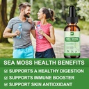 Sea Moss Liquid Drops - Organic Irish Sea Moss Gel with Spirulina, Bladderwrack, Burdock Root, Seamoss Gel Supplement for Joint, Detox Cleanse & Digestion Support - 2 Fl Oz, Vegan 5