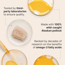 Wuffes Advanced Omega 3 Fish Oil for Dogs, Natural EPA & DHA Fatty Acids, Supports Healthy Skin and Coat, Joint Nutrition, Digestion & Immune System - 100% Pure Wild Alaskan Fish Oil - 8 Oz 5