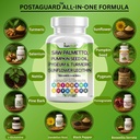 Saw Palmetto with Stinging Nettle, Pygeum, Pumpkin Seed, Sunflower Lecithin, Turmeric & Ashwagandha – Prostate Support for Men with Lycopene & Vitamin D3 – 90 Capsules 3