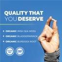 Irish Sea Moss Capsules | with Organic Irish Moss, 300mg Burdock Root & 500mg Bladderwrack Powder | 45-Day Supply | 1300mg Complex | Provides Iodine for Thyroid & Immune Support | 90 Veggie Pills 3